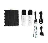 Amplificateur de puissance de voiture avec 2 microphones sans fil pour systèmes stéréo automobiles et domestiques, 4 x 80 W, puissance totale de 320 W, passe-bas réglable, prise