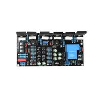 Amplificateur de Puissance Mono CC 300 W 1943+5200, Carte D'Amplificateur Audio Haute Puissance Hi-Fi avec Fonction de Protection des Haut-Parleurs