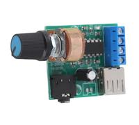 Amplificateur de Puissance Stéréo 5V AC/DC USB Module Carte d'Auto Basse Tension PM2038