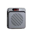 Amplificateur de Voix, Haut-parleur personnel portatif multifonctionnel d'amplificateur de voix de Bluetooth de 18W 2200mAh(Zwart)