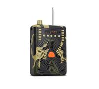 Amplificateur de Voix, Haut-parleur Stable, Télécommande Infrarou, HiFi, Lecture USB/TF, Amplificateur Vocal For L'enseignement