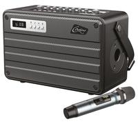 Amplificateur Portable Combo Avec Micro Sans Fil - ROADY FL