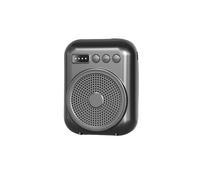 Amplificateur Vocal Portable, Mégaphone, Haut-Parleur Audio avec Microphone, Rechargeable, pour Enseignants, Noir