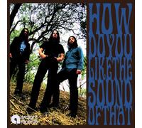 Amplified Heat - How Do You Like The Sound of That