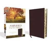 Amplified Holy Bible, Bonded Leather, Burgundy, Thumb Indexed: Captures the Full Meaning Behind the Original Greek and Hebrew