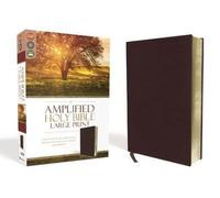 Amplified Holy Bible, Large Print, Tissu en fibres de cuir, Burgundy