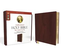 Amplified Holy Bible, XL Edition, Leathersoft, Burgundy