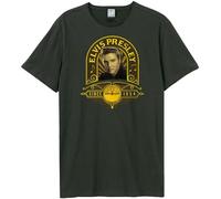 Amplified - "Studio Portrait" T-shirt pour homme/femme unie GD1599 (XL) (Charbon de bois)