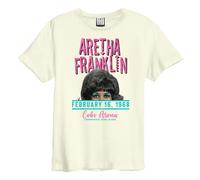 Amplified - T-shirt COBO ARENA - Adulte (GD1676)