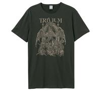 Amplified - T-shirt DRAGON TEMPLE - Adulte (GD1058)