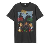 Amplified - T-shirt HIP HOP HOORAY - Adulte (GD2401)