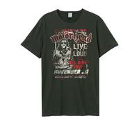 Amplified - T-shirt ONE NIGHT ONLY - Adulte (GD1530)