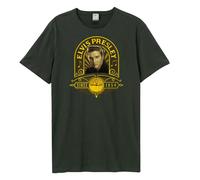 Amplified - T-shirt STUDIO PORTRAIT - Adulte (GD1599)