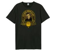 Amplified - T-shirt STUDIO PORTRAIT - Adulte (GD866)