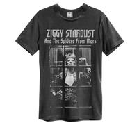 Amplified - T-shirt THE RISE AND FALL - Adulte (GD274)