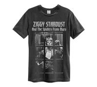 Amplified - T-Shirt The Rise and Fall - Adulte (L) (Charbon)