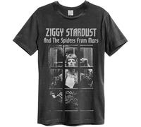 Amplified - "The Rise and Fall" T-shirt pour homme/femme unie GD1315 (M) (Charbon de bois)