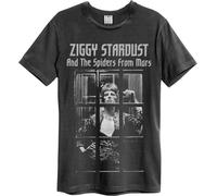 Amplified - "The Rise and Fall" T-shirt pour homme/femme unie GD274 (XS) (Anthracite)