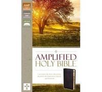AMPLIFIED THINLINE BIBLE BND BLK BND IDX - [Version Originale] Inconnu (Auteur)