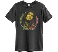 Amplified - "Will You Be Loved" T-shirt pour homme/femme unie GD1492 (XL) (Charbon de bois)