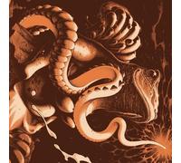 Amplifier Worship - 25th Anniversary - Vinyle 33 Tours