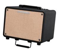 Amplis et effets IBANEZ T30 TROUBADOUR Amplis electro-acoustiques
