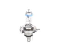 BOSCH Ampoule compatibilite avec 1 987 301 106