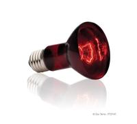 Ampoule à Infrarouge Pour Lézarder 150w - Exo Terra