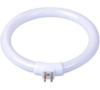 Ampoule à tube circulaire T4 11 W, Tube de rechange pour ampoule fluorescente LED, Base à 4 broches, 220 V Blanc froid