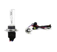 Ampoule AMI01427 AMIO