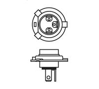 Ampoule BOSCH 1 987 301 010 pour VW TARO 2.4 1989-1997