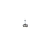 Ampoule BOSCH 1 987 301 075 2 pièces