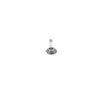 Bosch H7 Plus 90 lampes de phare - 12 V 55 W PX26d - 2 ampoules