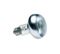 Ampoule Chauffante 60 watts