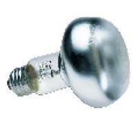 Ampoule Chauffante 60 watts G