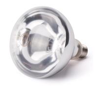 Hendi Ampoule chauffante infrarouge 919200 125 x 170 mm 230 V 250 W Blanche