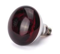 Hendi Ampoule pour lampe chauffante infrarouge 919217