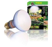 Ampoule Daylight Basking Spot - Exo Terra - 75w