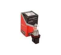 MAXGEAR 78-0126 Ampoule de clignotant