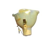 Ampoule de projecteur Compatible avec Optoma, EH515 OPX6155 W515 WU515 Optoma X515 X515ST /SP.72109GC01, Accessoires for Lampe de projecteur