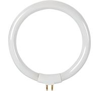 Velleman Tube fluorescente T4 12W blanc froid 6500K 720 lm pour lampe loupe VTLAMP8
