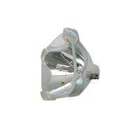 Ampoule de Rechange POA-LMP53 for S-ANYO PLC-SE15 PLC-SL15 PLC-SU2000 PLC-SU25