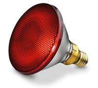 Beurer Ampoule infrarouge IL 21 / IL 30 150 W G