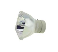 Ampoule de Remplacement LMP-E211 for projecteurs VPL EX100 EX101 EX120 EX121 EW130 EX145 EX175 SW125 SW125ED3L SX125 SX125 ED3(LMP-E211-CB)