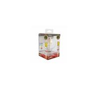 Ampoules LED Déco filament 6W E27 Globe