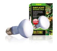 Ampoule - EXO TERRA - DAYLIGHT BASKINGSPOT - 75 W - Lumière du jour - UVA pour reptiles