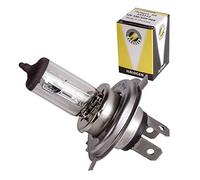 Ampoule Flosser compatible avec auto moto scooter H4 12V 100/55W P43T