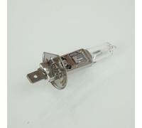 Ampoule Flosser Pour Scooter Piaggio 250 Mp3 2008 À 2020 3021 / H1 12v 55w P14.5s Neuf