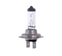 AMPOULE H7 12V/55W PX26D