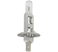 Ampoule Halogène 24V - 70W modèle H1